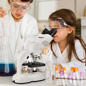 Two children looking through microscope, educational science activity for home and school
