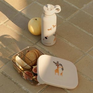 Lifestyle image of kids lunch box