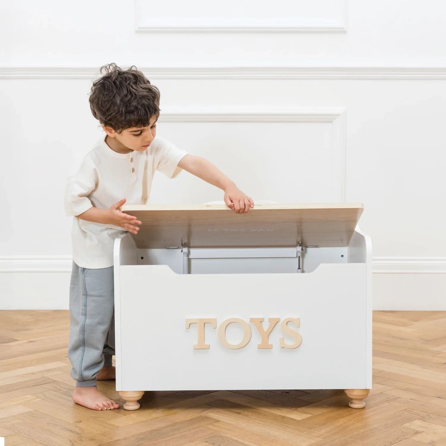 Toy storage ideas for a living room