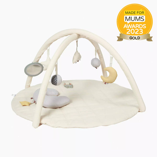 Complete 5-in-1 baby play gym set with gold award
