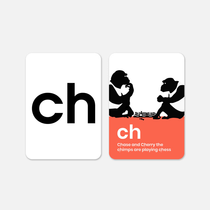 Matching Animal Phonics Flashcard for Children