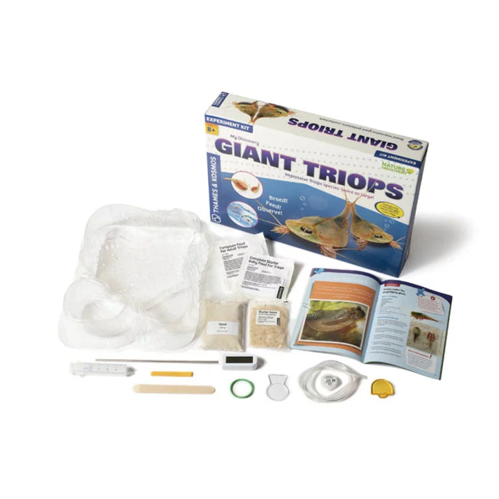 Giant Triops kit, prehistoric creature, science for kids