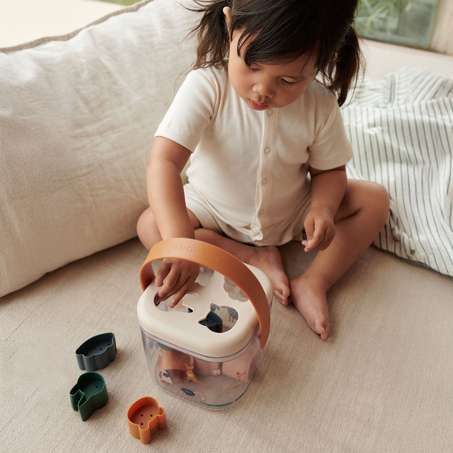 Transparent puzzle box with detachable lid