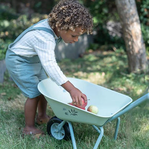 A boy is carrying fruits in the wheelbarrow