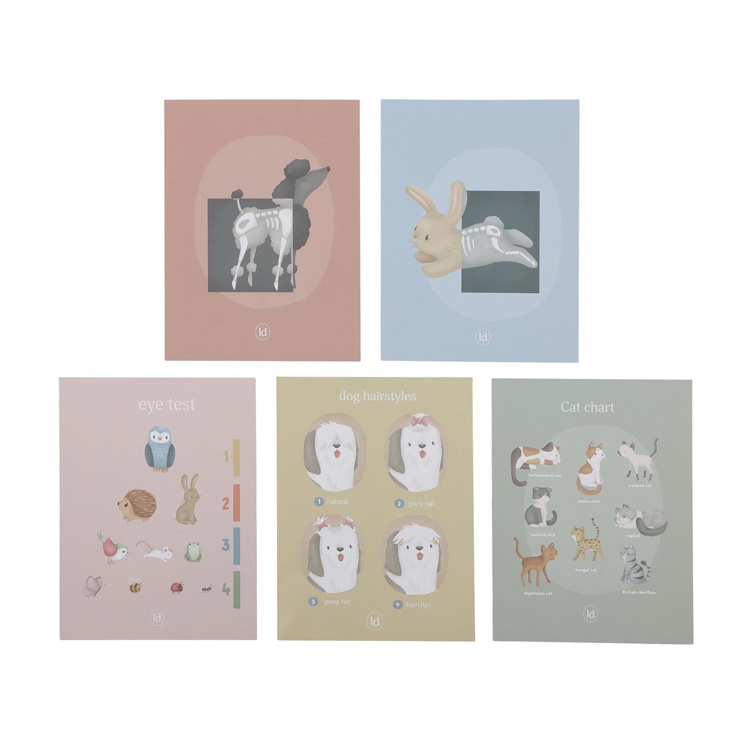 Medical illustration cards are showing a white background.