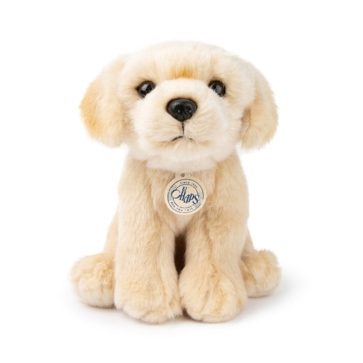 BT Chaps Loulou The Labrador Soft Toy