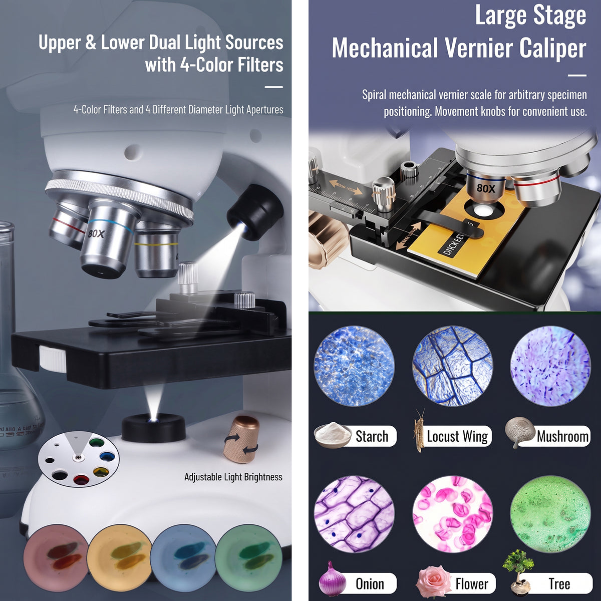 Microscope kit accessories including 4 colour filters, prepared slides and tools laid out
