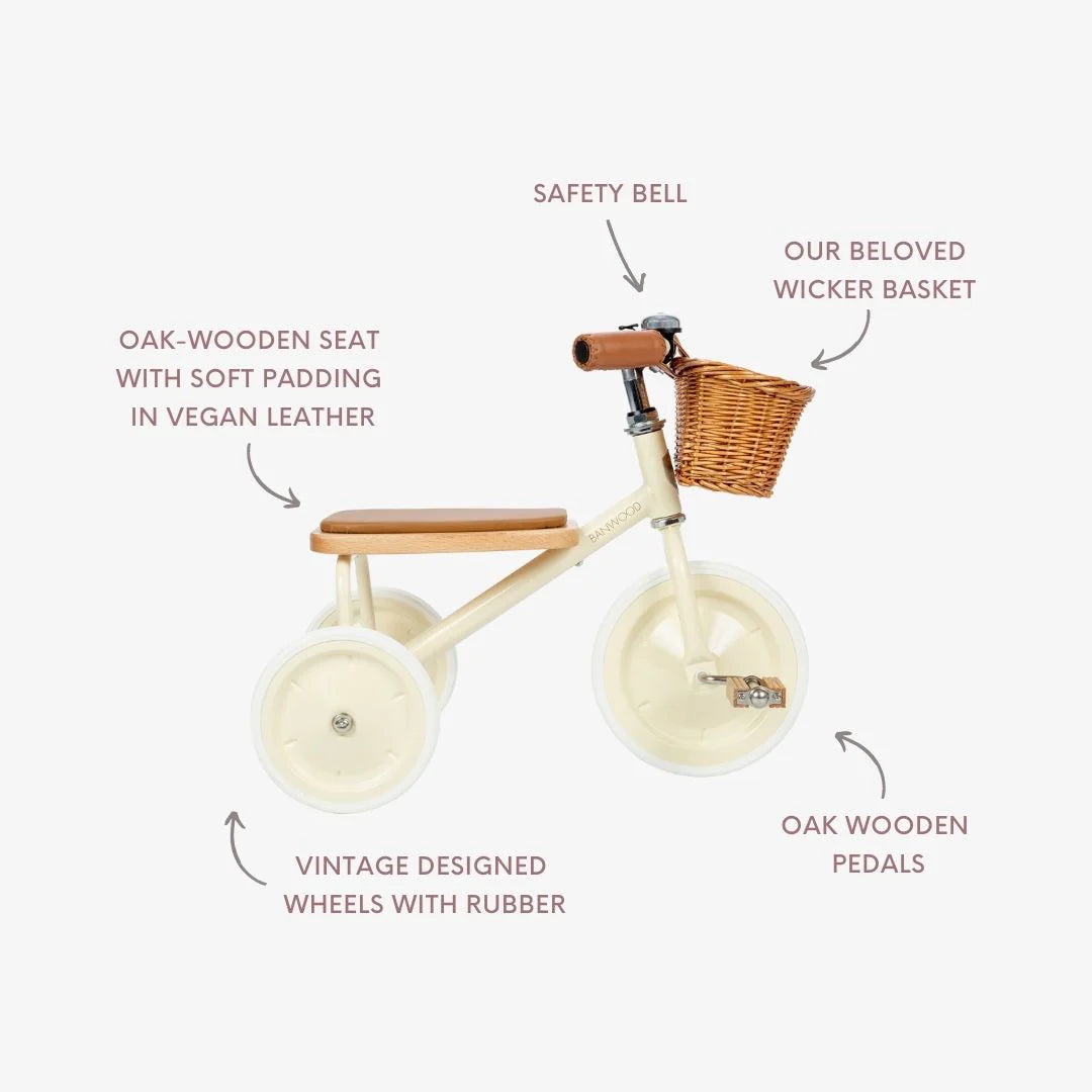 Children's tricycle with features labeled on a white background