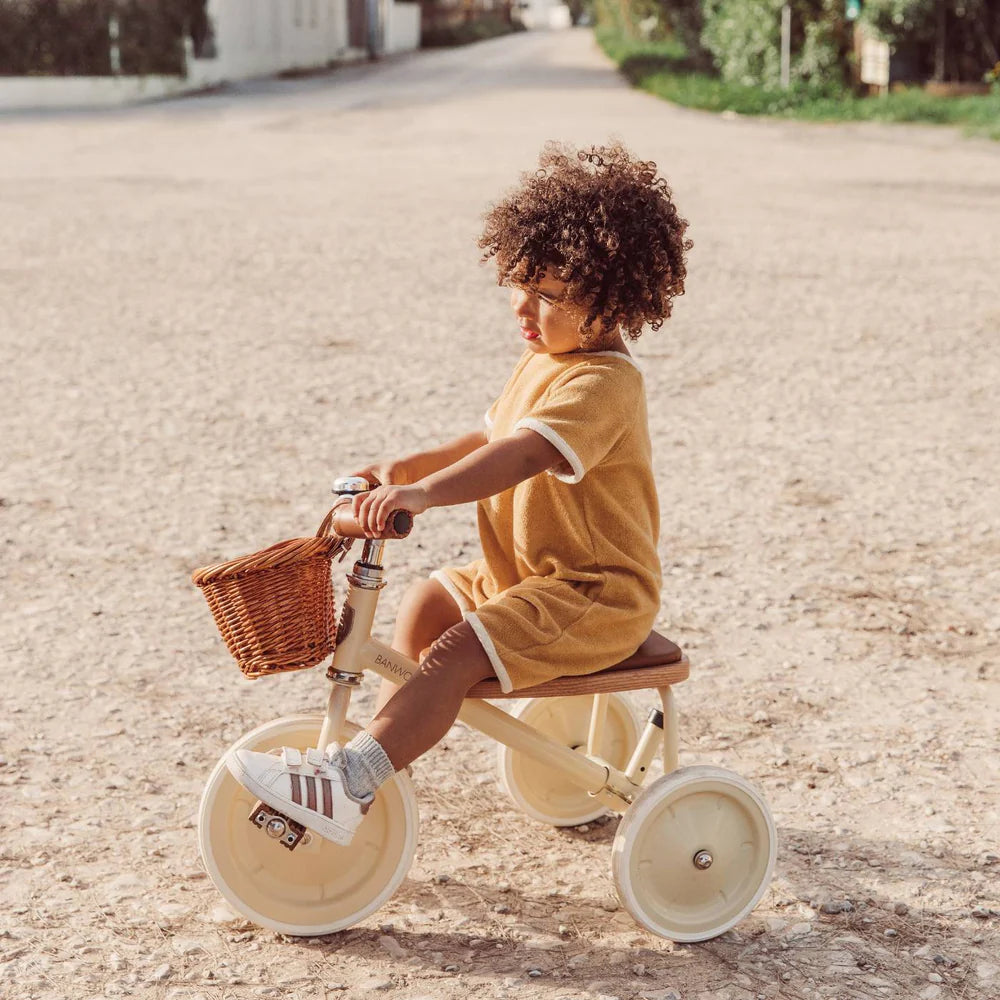 Child riding a tricycle with a basket on a gravel path.
