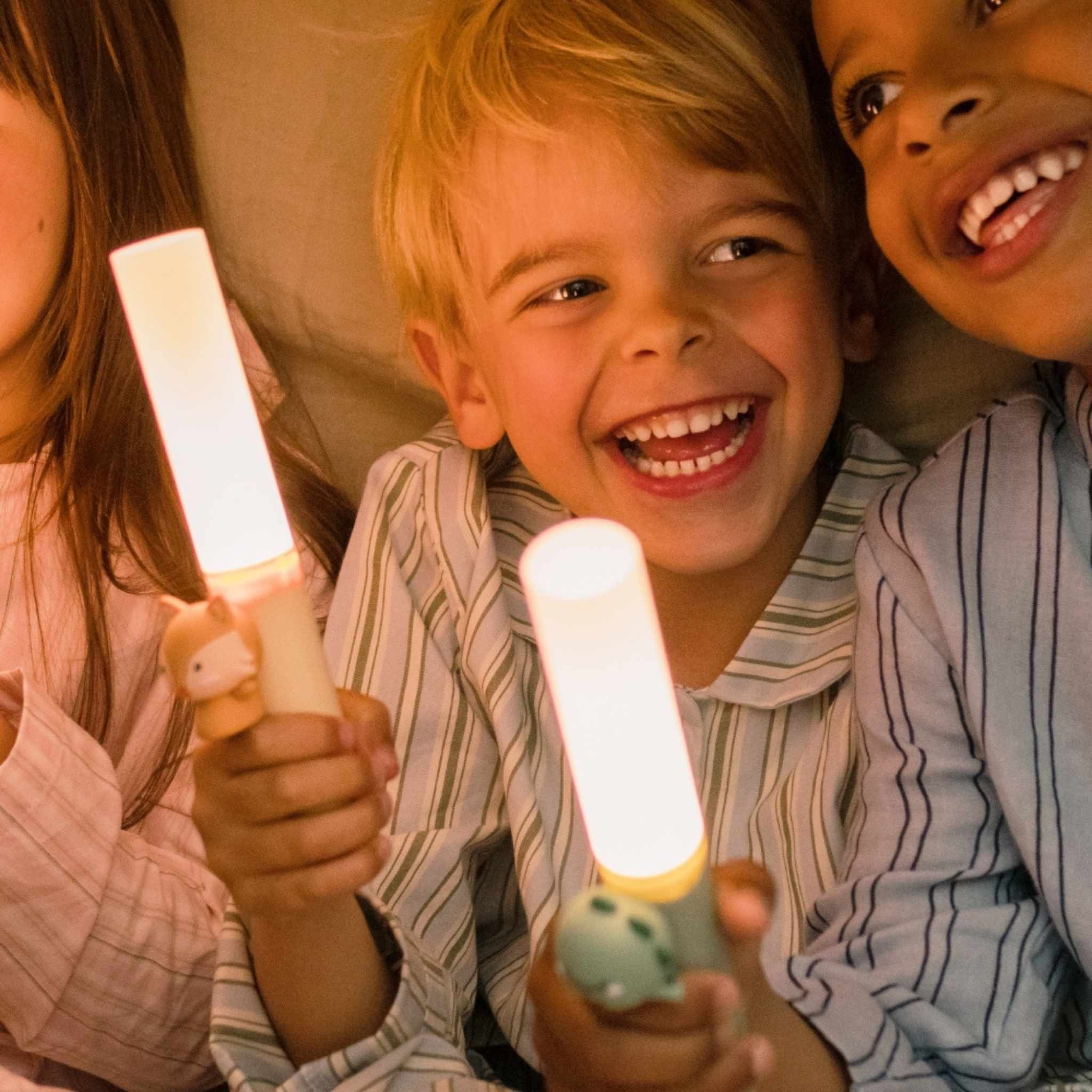 The Zoofamily Zoo Light