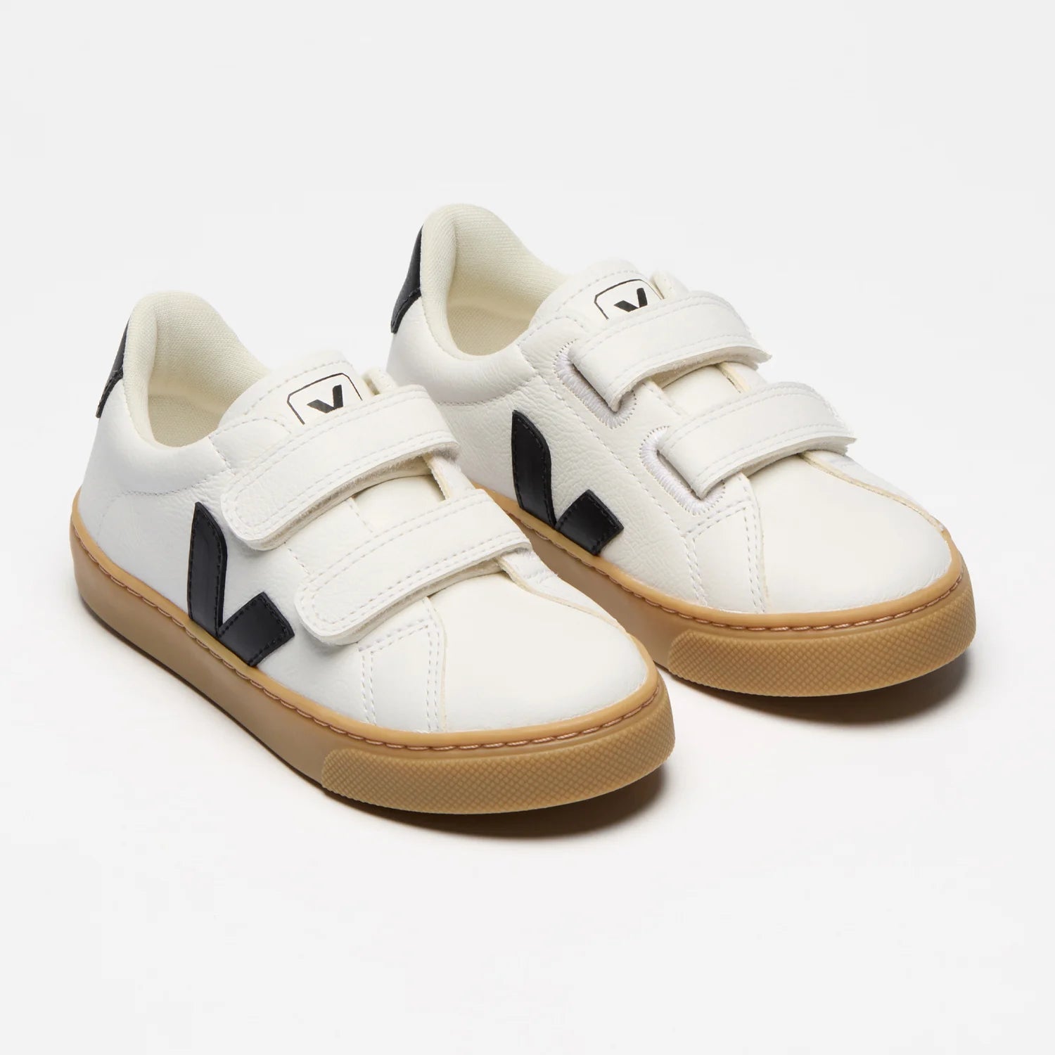 Veja sneakr in white background