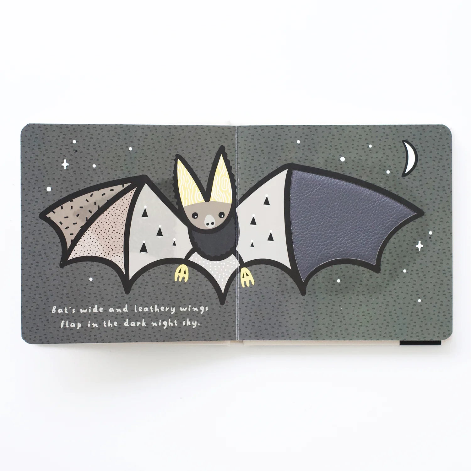 Wee Gallery Wings book cover showcasing animals with bright and varied wing textures