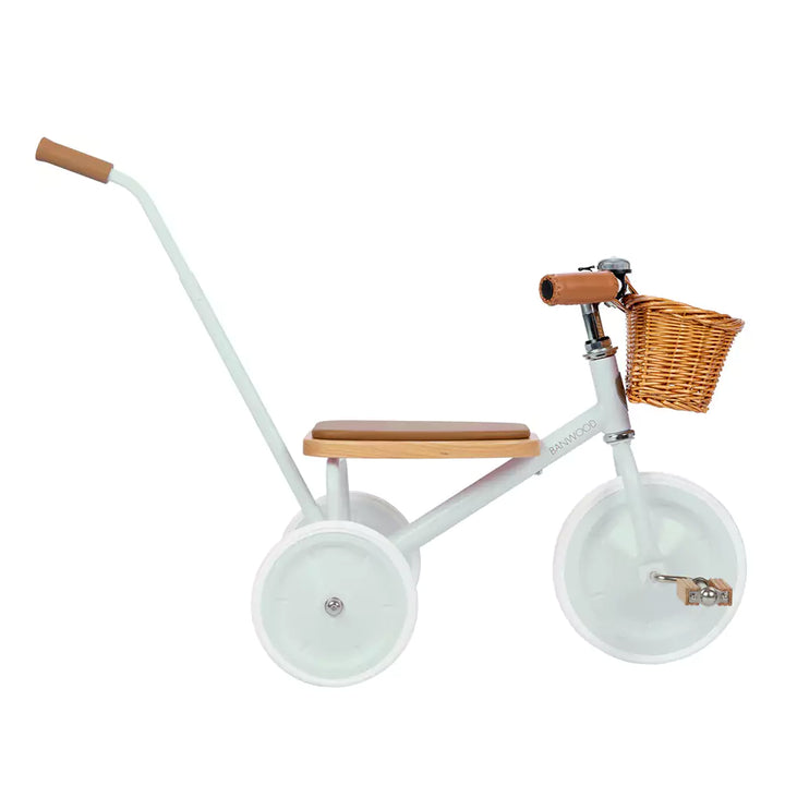 banwood trike with extendable arm