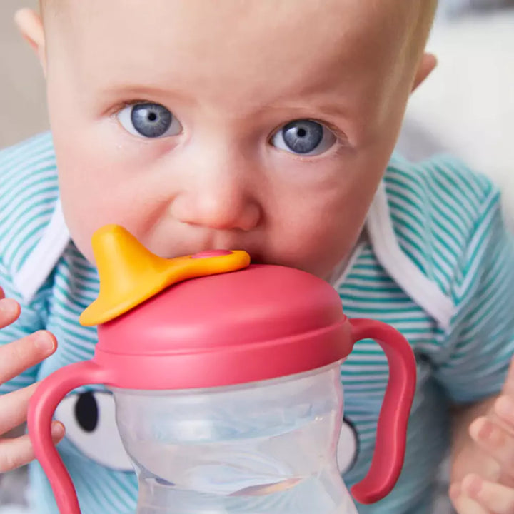 Baby drinking spout cup