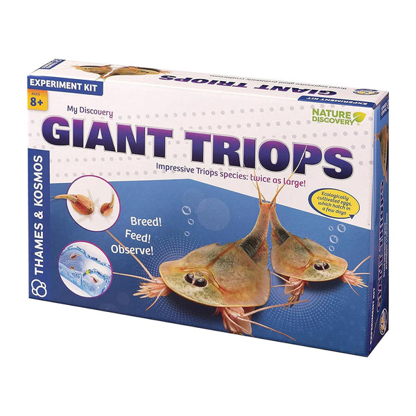 Giant Triops Kit – Raise Prehistoric Creatures