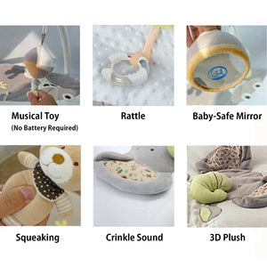 Collection of baby toys and items including a musical toy, rattle, baby-safe mirror, squeaking toy, crinkle sound toy, and 3D plush toy.