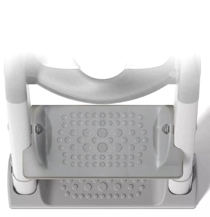 Potty Training Seat with Ladder - Grey