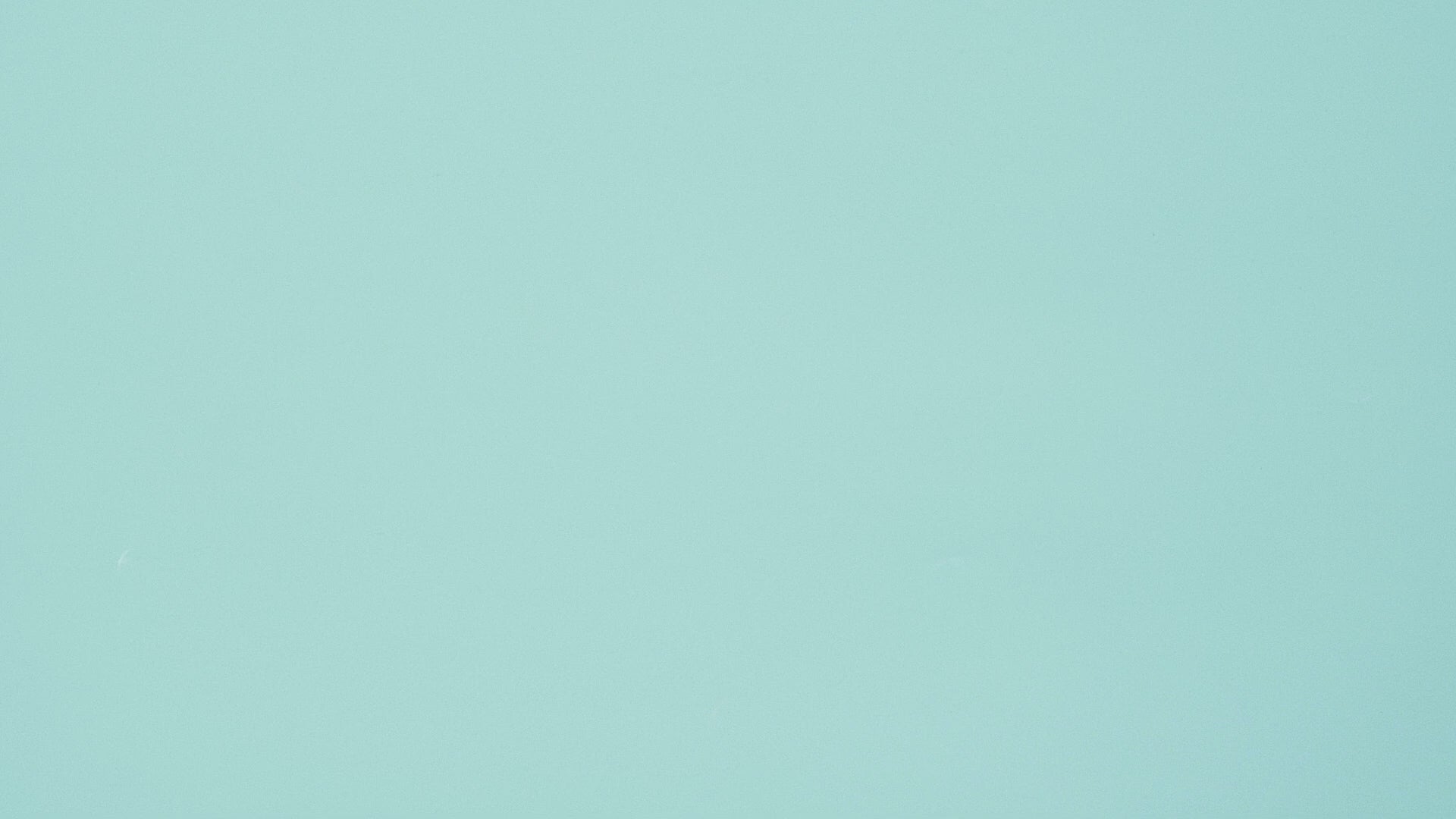 Load video: The Zoofamily Zoo Print Camera - Bear