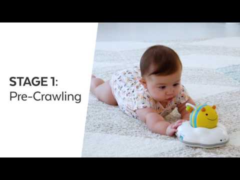 Video Skip Hop Baby Crawling Toy - 2-in-1 Follow-Bee
