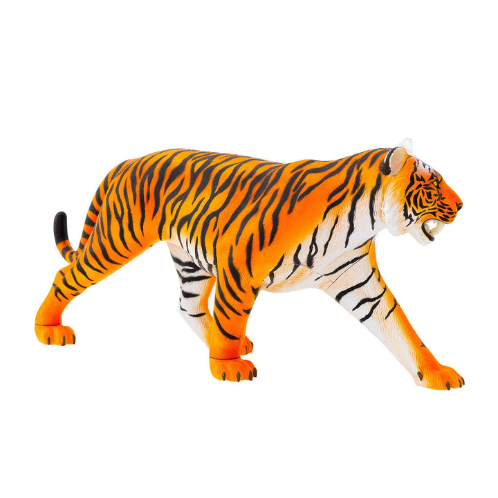 Learn about tigers with hands-on anatomy model kit