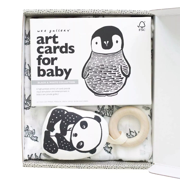 This newborn baby gift set An adorable organic panda tea designed to soothe teething discomfort, featuring soft textures and an easy-to-grasp design