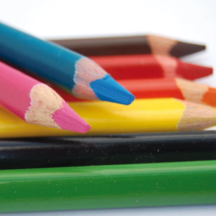 Micador ColourRush Jumbo Triangle Pencil Set, 12 Pack
