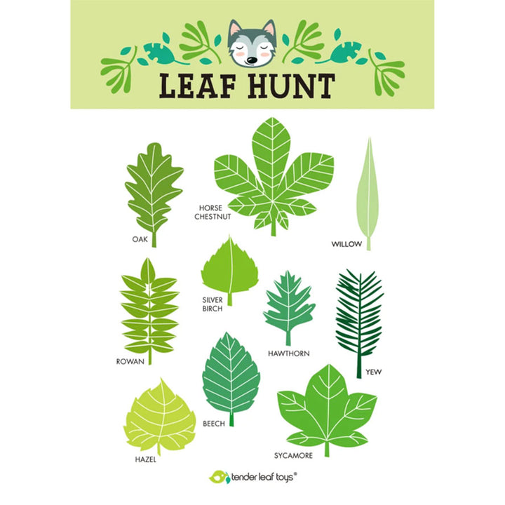 Tender Leaf Kids Forest Trail Kit