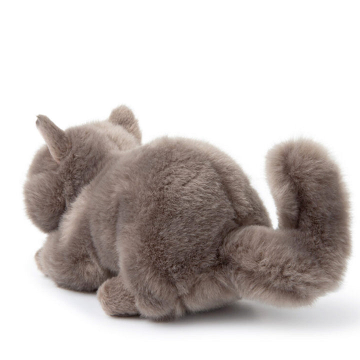 stuffed British Shorthair cat