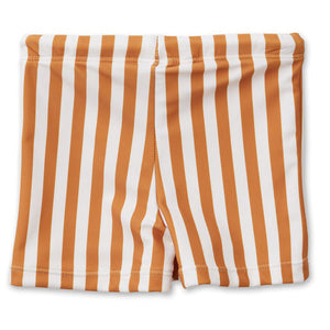 Liewood Otto Swim Pant Shorts for boys